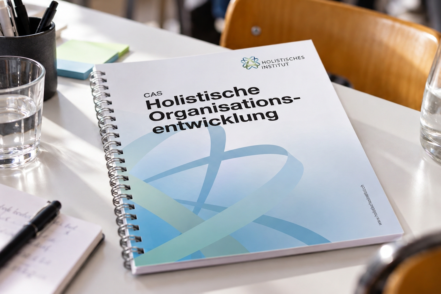 Spiralheft CAS Holistische Organisationsentwicklung